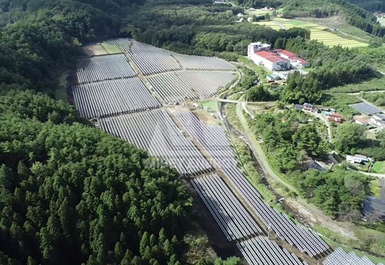 春回大地，bb贝博中国见证日本福岛重焕生机