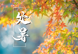 Daily health care-Shenzhen Xingyin Pharmaceutical Co., LTD