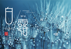 Daily health care-Shenzhen Xingyin Pharmaceutical Co., LTD