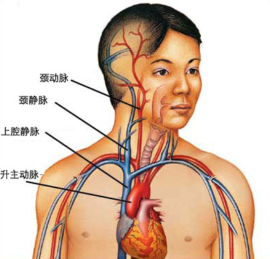 Patient home-Shenzhen Xingyin Pharmaceutical Co., LTD