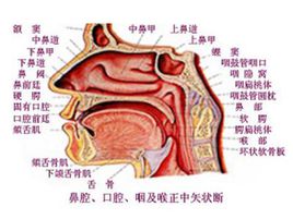 Patient home-Shenzhen Xingyin Pharmaceutical Co., LTD