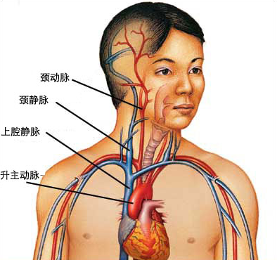 Patient home-Shenzhen Xingyin Pharmaceutical Co., LTD
