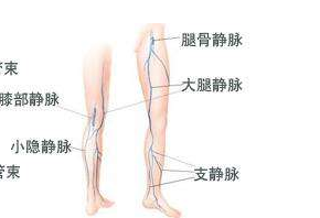 Patient home-Shenzhen Xingyin Pharmaceutical Co., LTD