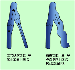 Patient home-Shenzhen Xingyin Pharmaceutical Co., LTD