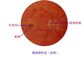 Disease prevention and treatment-Shenzhen Xingyin Pharmaceutical Co., LTD