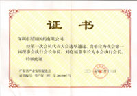 Company news-Shenzhen Xingyin Pharmaceutical Co., LTD