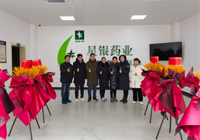 Company news-Shenzhen Xingyin Pharmaceutical Co., LTD